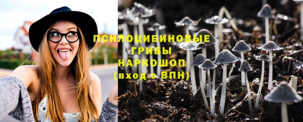 альфа пвп Зеленодольск